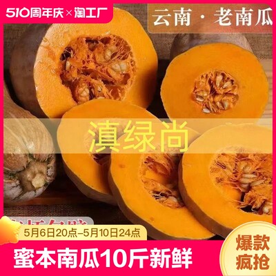 云南蜜本老南瓜10斤新鲜粉糯香甜整箱宝宝辅食非贝贝小南瓜包邮