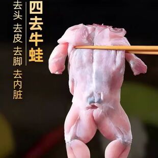 牛蛙鲜活新鲜冷冻批发生鲜田鸡青蛙蛤蟆田鸡肉商用火锅食材