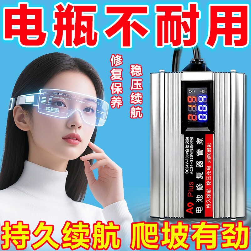 进口新款电动车电瓶修复器铅酸电池通用自动脉冲充电激活续航神器