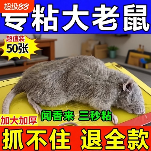 超强力粘鼠板捉粘抓灭捕鼠药神器超强特效扑捉全窝端大老鼠贴沾胶