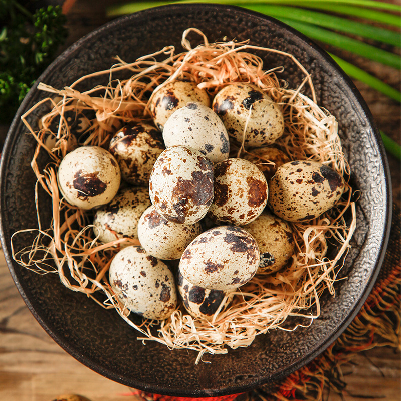 新鲜生鹌鹑蛋农家杂粮养喂养宝宝辅食生鹑鸟蛋火锅零食卤煮