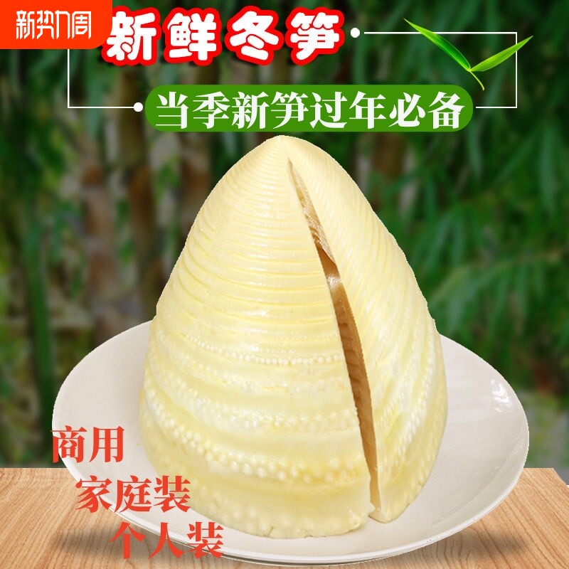 新鲜冬笋竹笋清水水煮袋装火锅煲汤食材美味鲜笋泡椒当季