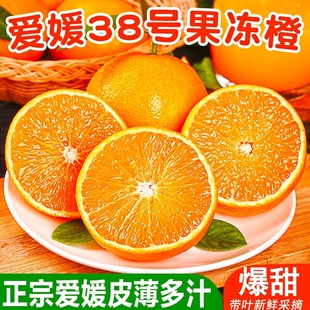 四川眉山爱媛38号果冻橙现采直发皮薄多汁应季水果甜橙采摘新鲜