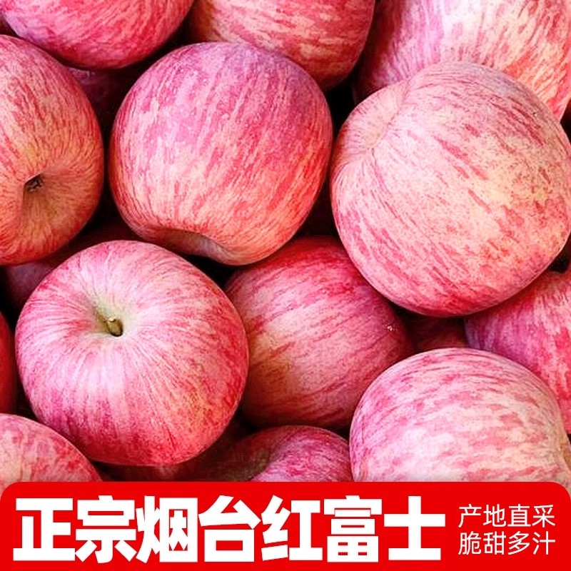 正宗山东烟台红富士苹果当季红苹果脆甜新鲜薄皮水果整箱产地直采