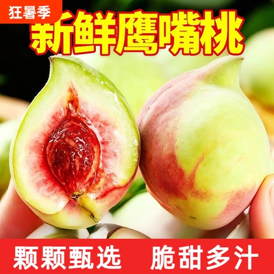 正宗鹰嘴桃大果5斤应当季现摘新鲜水果连平甜脆毛桃水蜜桃子整箱