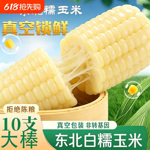 【新货头茬玉米】甜糯玉米东北白糯玉米真空装加热即食新鲜玉米棒