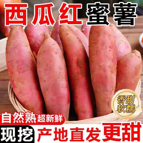 正宗新鲜西瓜红红薯红蜜薯香薯黄心糖心地瓜山芋沙地红心番薯9斤