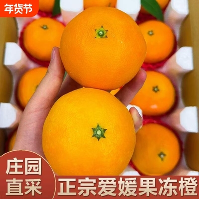 云南正宗爱媛橙特惠装鲜甜多汁量大实惠新鲜现摘更放心