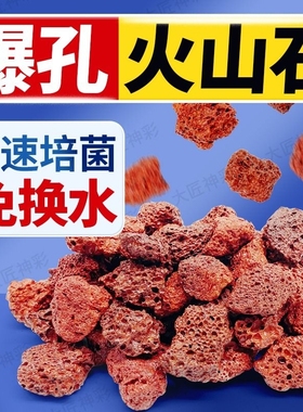 火山石鱼缸专用装饰造景摆件底部砂石颗粒乌龟缸养鱼石头免洗溪流
