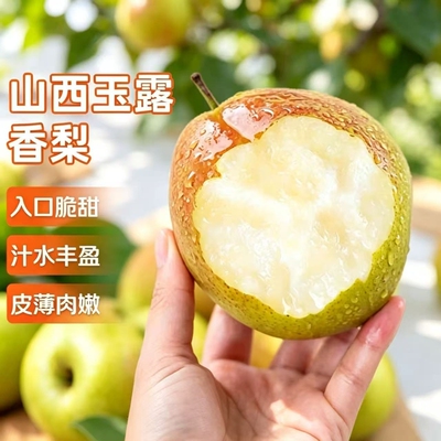 正宗玉露香梨新鲜水果当季现摘脆甜梨子酥梨香梨薄皮多汁大果孕妇
