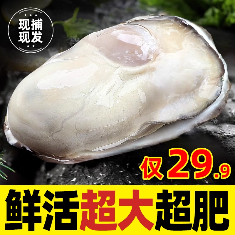 特大乳山生蚝鲜活10新鲜海蛎子5斤带箱海鲜超大牡蛎贝壳即食水产