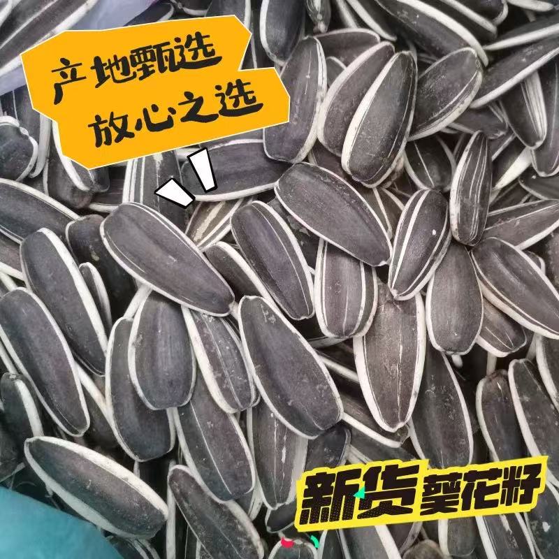 新货葵花籽五香奶油焦糖核桃味葵花籽炒熟瓜子批发价