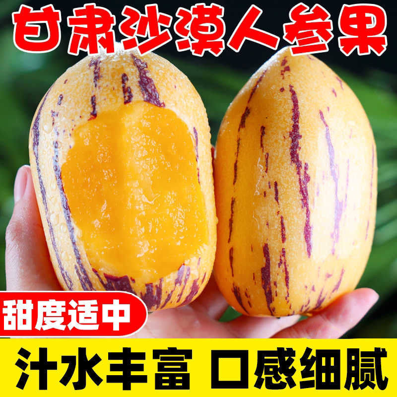 正宗甘肃沙漠人参果 头茬果新鲜现摘民勤 应季当季新鲜水果整箱A