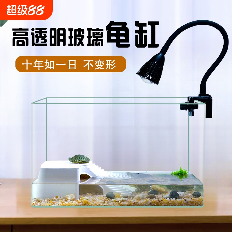 玻璃造景乌龟缸|超1000次加购