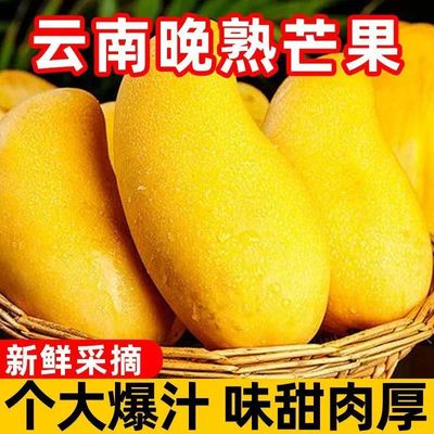 芒果爆甜多汁云南晚熟芒果景东芒新鲜水仙芒甜心芒应季水果