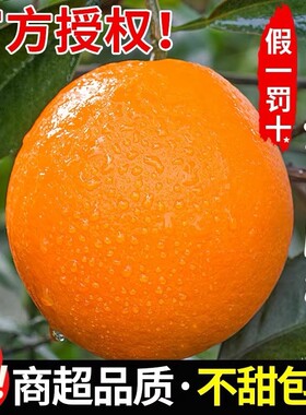 正宗赣南脐橙新鲜橙子当季水果甜果冻橙大整箱包邮江西官方旗舰店