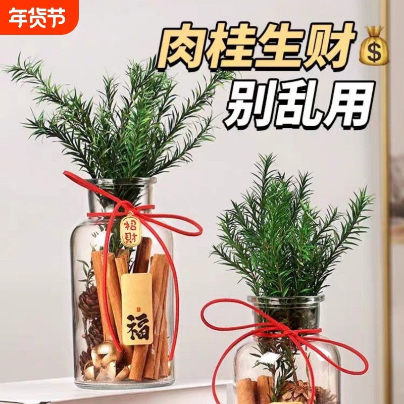 肉桂生财摆件玻璃瓶中式招财花瓶办公室桌面装饰摆件乔小红薯同款