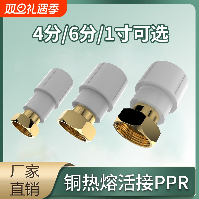 铜前置过滤器活接头热熔1寸25PPR6分4分铜热水器20活接软管不锈钢