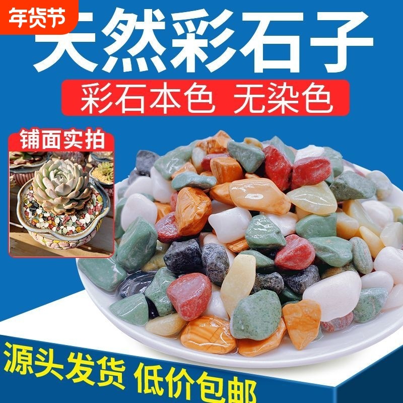 天然五彩石雨花石鱼缸造铺底盆栽水培多肉植物铺面装饰小石头