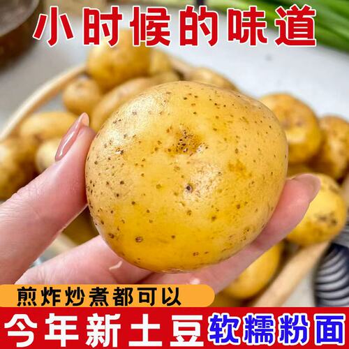 小土豆新鲜恩施正宗高山