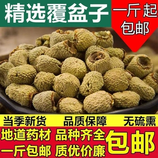 覆盆子中药材正品特级覆盆子泡茶浙江覆盆子茶