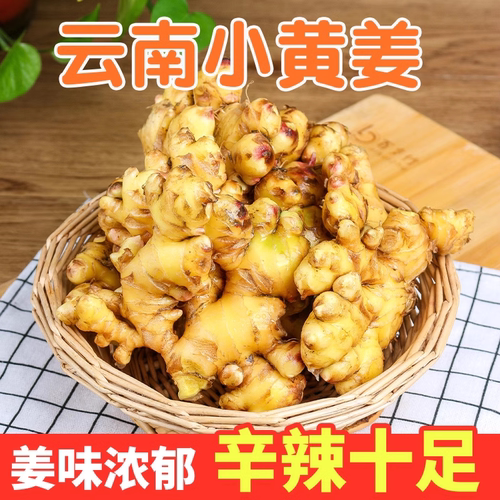 云南小黄姜新鲜现挖生姜老姜嫩姜仔姜姜香浓郁特级姜整箱批发
