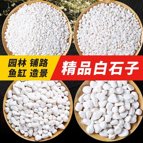 天然白石子鹅卵石多肉铺面造景