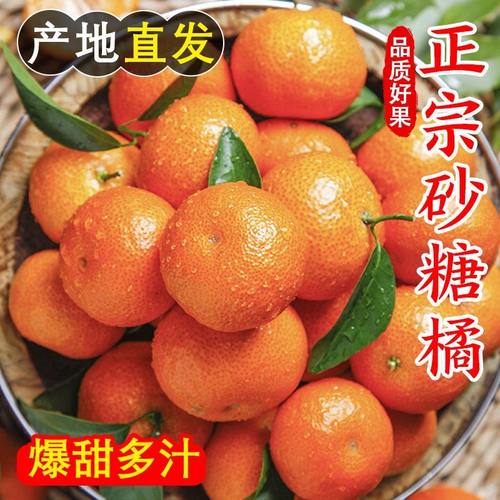 正宗广西砂糖橘金秋小桔子新鲜水果当季整箱顺丰包邮时令孕妇柑橘