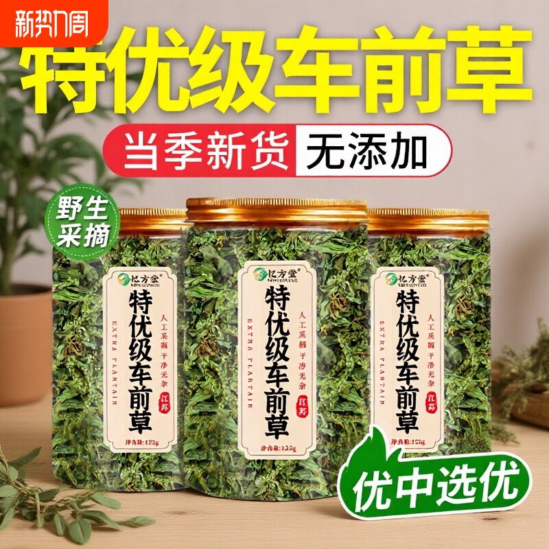 车前草中药材正品野生新鲜干货官方旗舰店袋泡茶水喝的功效与作用