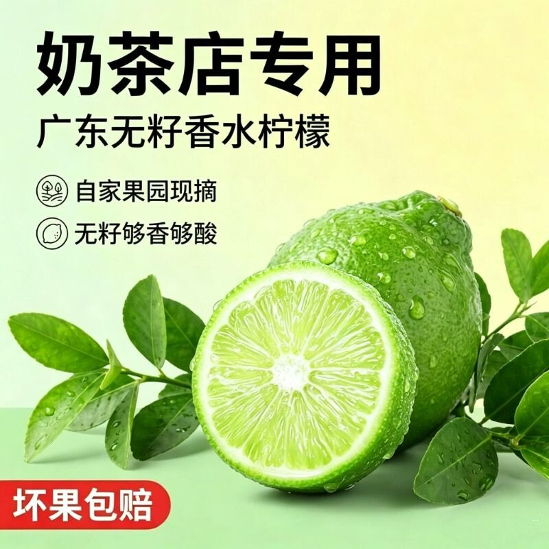 广东无籽香水柠檬一级果新鲜手打柠檬茶青柠咖啡奶茶店专用爆香