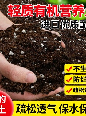 营养土土壤种植土泥土养花专用通用型盆栽花土多肉土家用种菜肥料