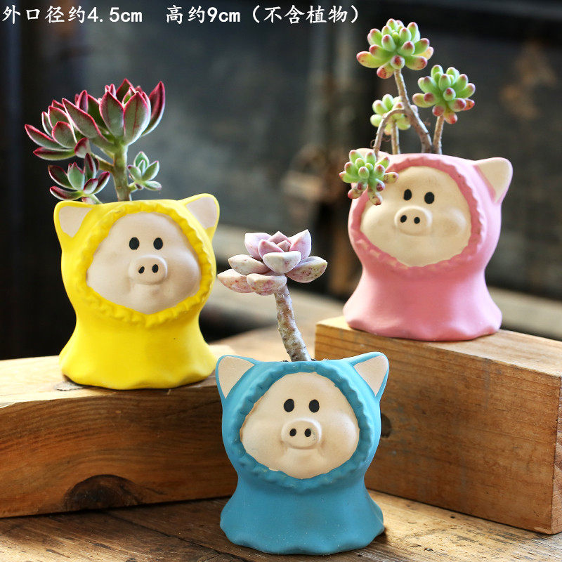 Succulent Flower Pot Ceramic Special Clearance Breathable Stoneware Creative Indoor Succulent Small Flower Pot Combination Wholesale
