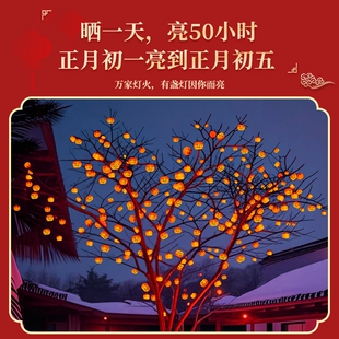 挂树上的小灯笼太阳能新年树灯彩灯柿子灯led灯带户外缠树灯串灯