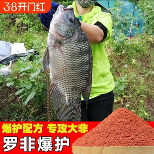 罗非鱼饵料野钓黑坑鱼饵料罗飞专用鱼饵主攻大罗飞肝腥味配方鱼饵