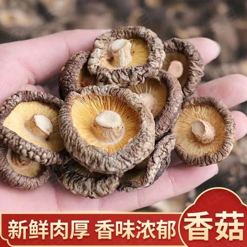 香菇干货商用新鲜古田干香菇小冬菇蘑菇香茹 古田香菇(菇味浓厚)