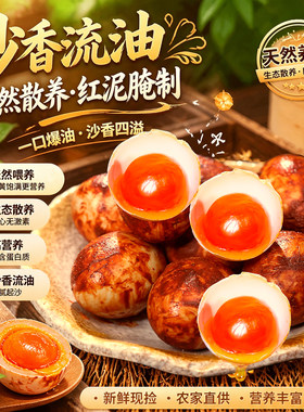 不咸不淡新鲜特大散养洞庭湖鸭蛋的咸鸭蛋起沙整箱咸蛋黄配送好吃