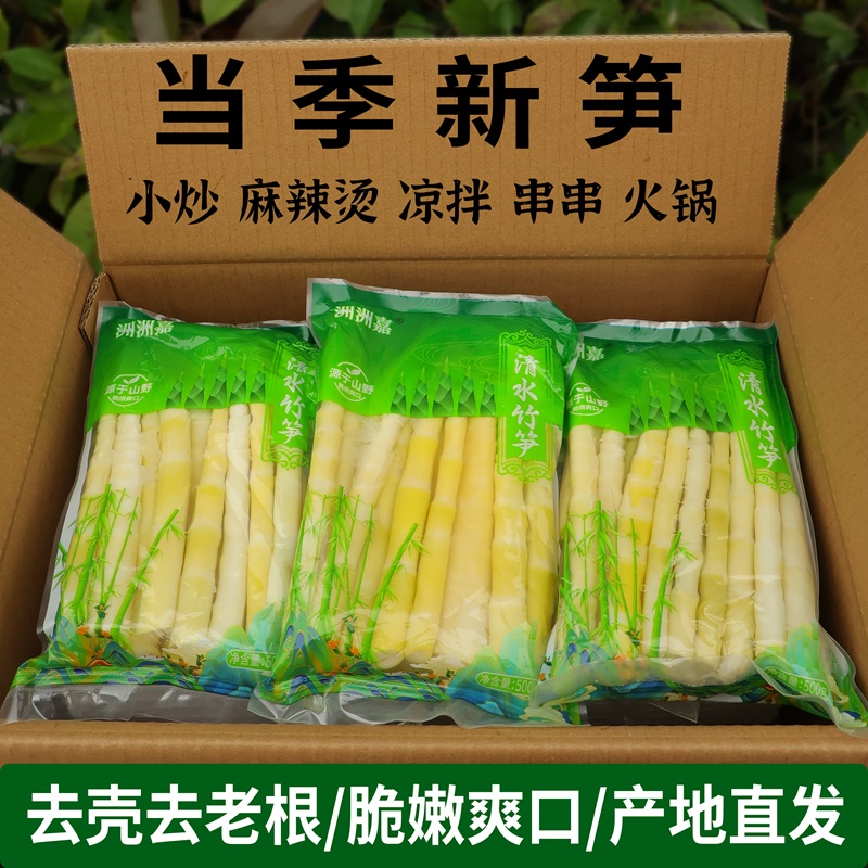 竹笋新鲜嫩笋尖野生小竹笋罗汉笋原味春笋火锅麻辣烫串串餐饮商用