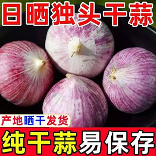 云南紫皮独头蒜干蒜头 圆润饱满 辛辣味浓 当季新蒜现挖直发