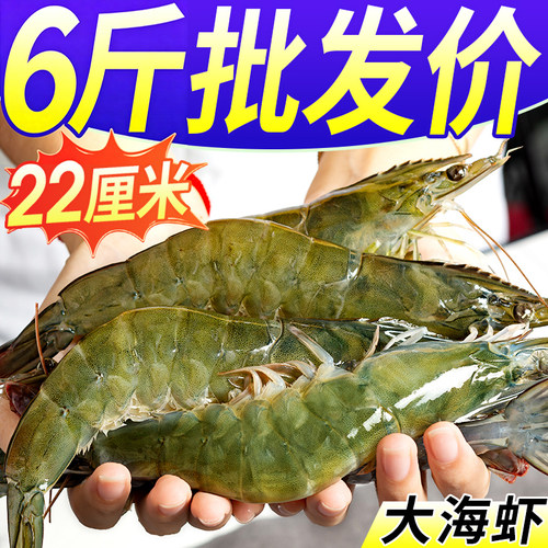青岛大虾鲜活速冻海捕大虾