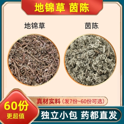 地锦草茵陈组合中药材泡水的功效与作用茶包地绵菌阵和加代分小包