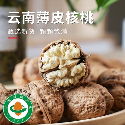 正宗云南核桃哀牢山原产地有机认证新鲜核桃新货易剥整箱包邮