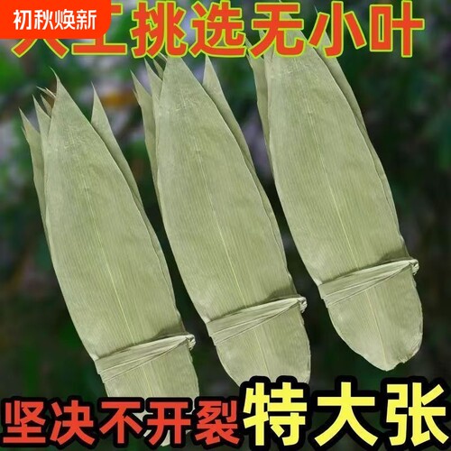 粽叶新鲜大号棕叶干包粽子的叶子天然野生竹叶粽绳箬叶粽子叶