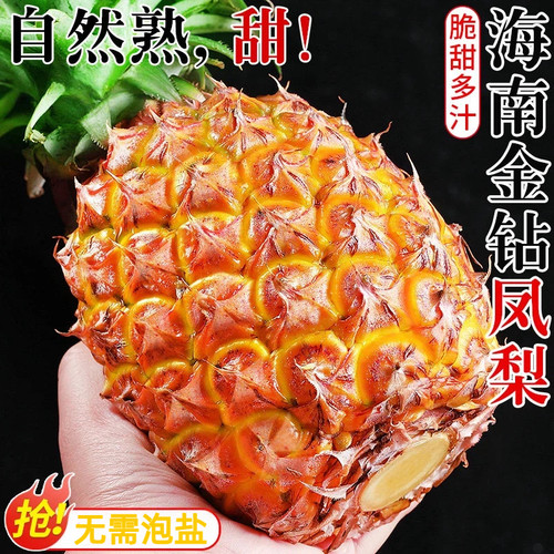 海南金钻凤梨台农17号手撕菠萝新鲜水果生鲜特大整箱包邮送礼特产