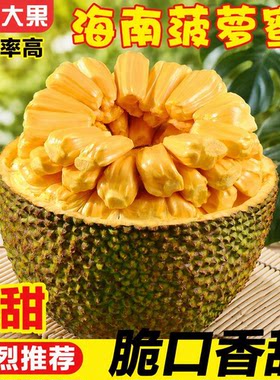 海南黄肉菠萝蜜当季新鲜热带水果木菠萝蜜黄肉香甜大果