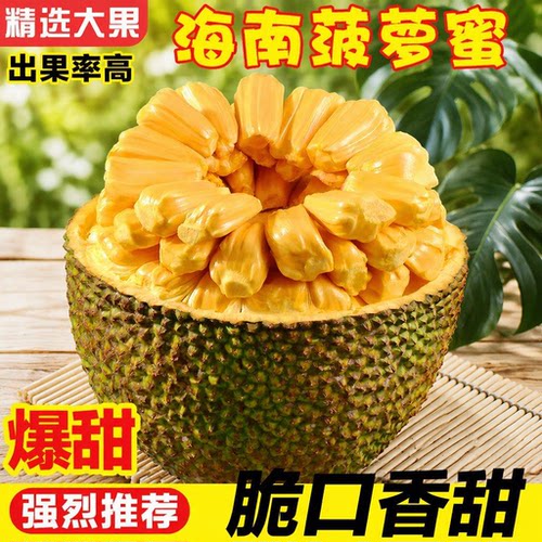 海南黄肉菠萝蜜当季新鲜热带水果木香甜大果现摘果肉本地
