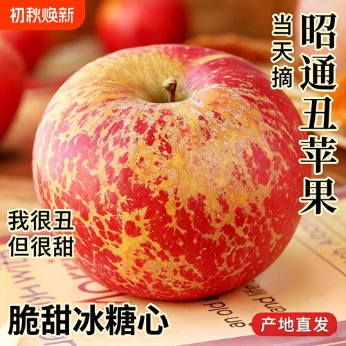 丑苹果脆甜冰糖心云南昭通现摘
