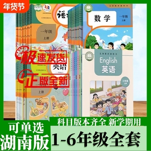 新华书店旗舰店正版湖南用湘少教版小学一二三四五六年级上下册语文数学英语书课本全套教材教科书人教苏教版123456语数英课本