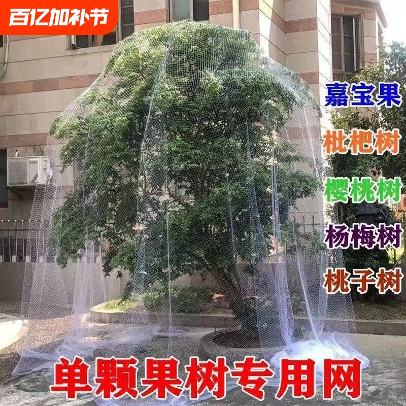 果树防雀网防鸟网樱桃树枇杷树树防鸟罩尼龙网葡萄园挡鸟拦鸟网子