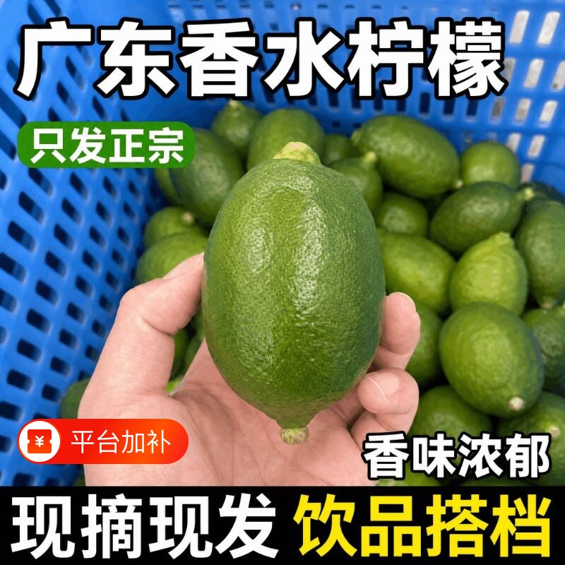 广东柠檬香水无籽奶茶店专用一二级果自家果园现摘新鲜手打皮薄
