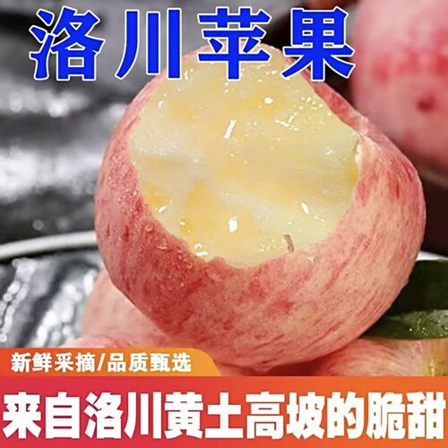 洛川苹果红富士孕妇水果